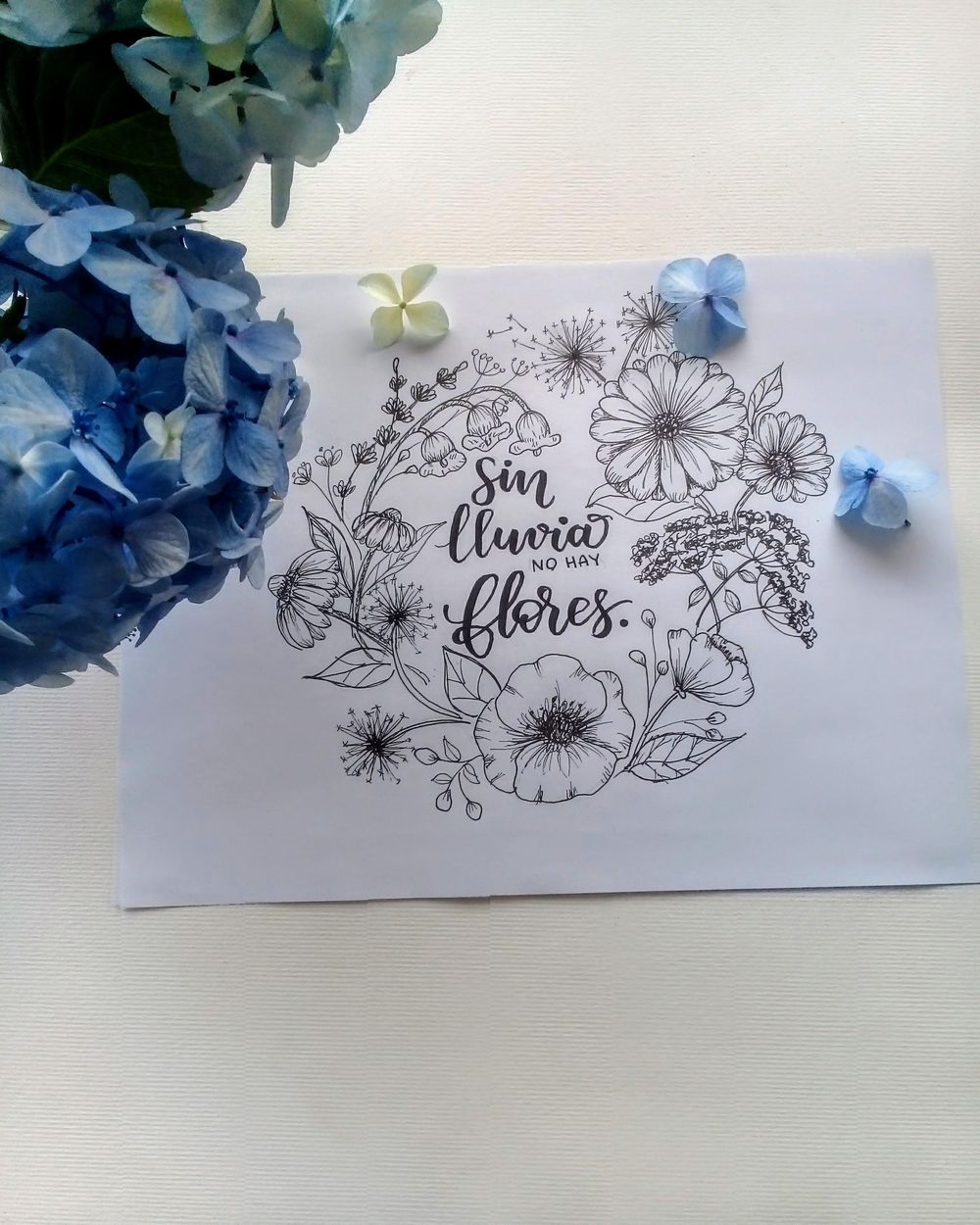 inked Wild Flowers - image 3 - student project