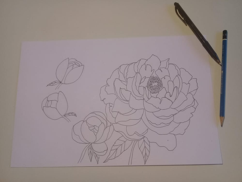 My pretty peonies - image 1 - student project