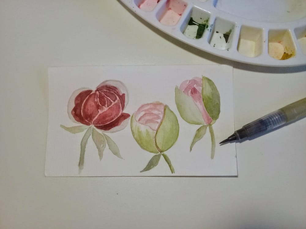 My pretty peonies - image 2 - student project