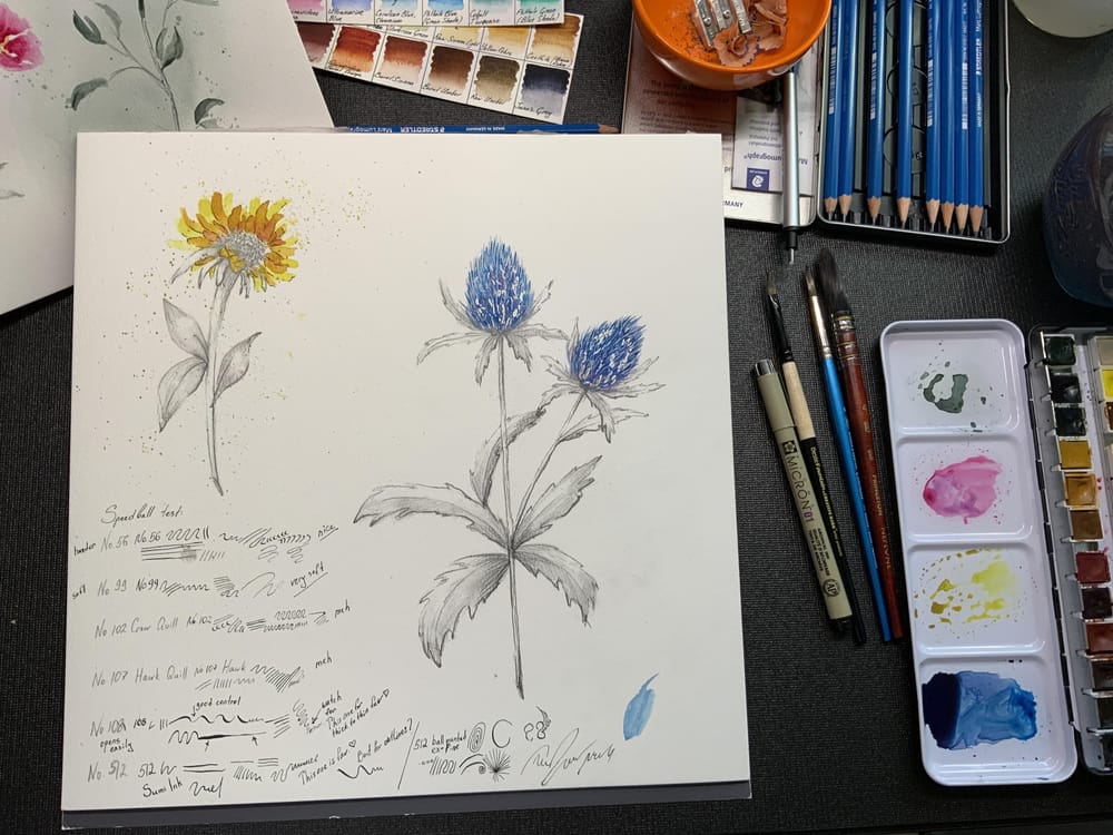 Watercolor and graphite practice - image 1 - student project