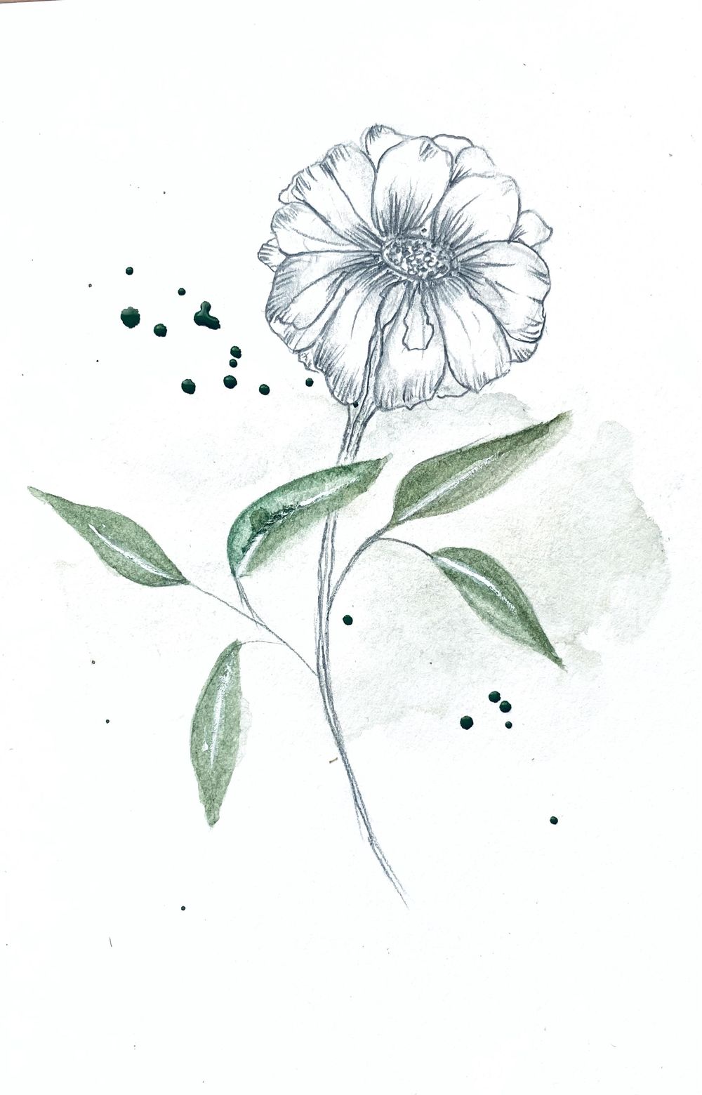 Watercolor and Graphite Skillshare Student Project