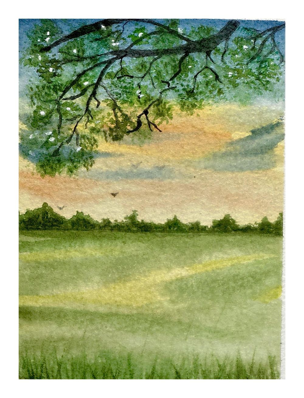 Dancing Skies - image 2 - student project