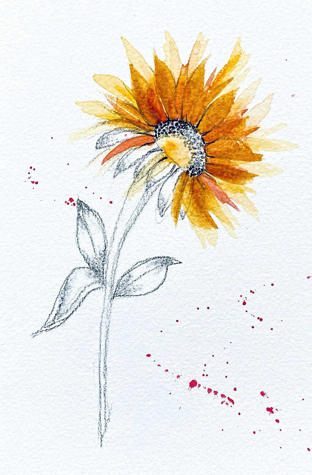 Watercolor and Graphite Skillshare Student Project