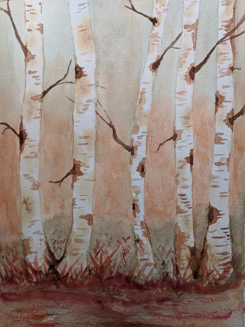 Birch trees - image 1 - student project