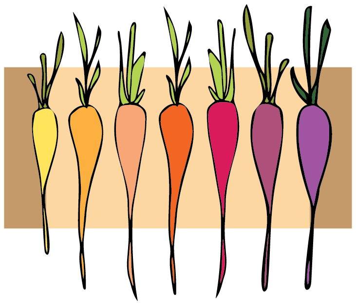 Illustrate from Sketches: 3 Patterns in 3 Weeks, She Grows Rainbows - image 5 - student project