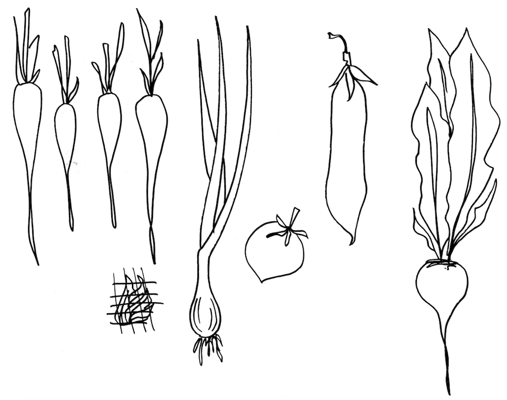 Illustrate from Sketches: 3 Patterns in 3 Weeks, She Grows Rainbows - image 7 - student project
