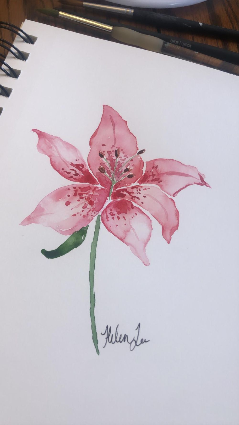 Watercolor Lilly - image 1 - student project
