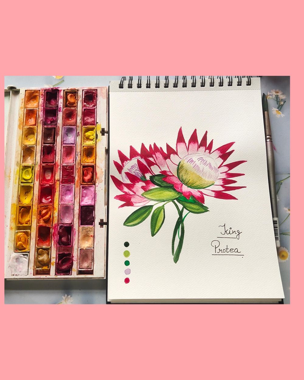 King protea - image 1 - student project
