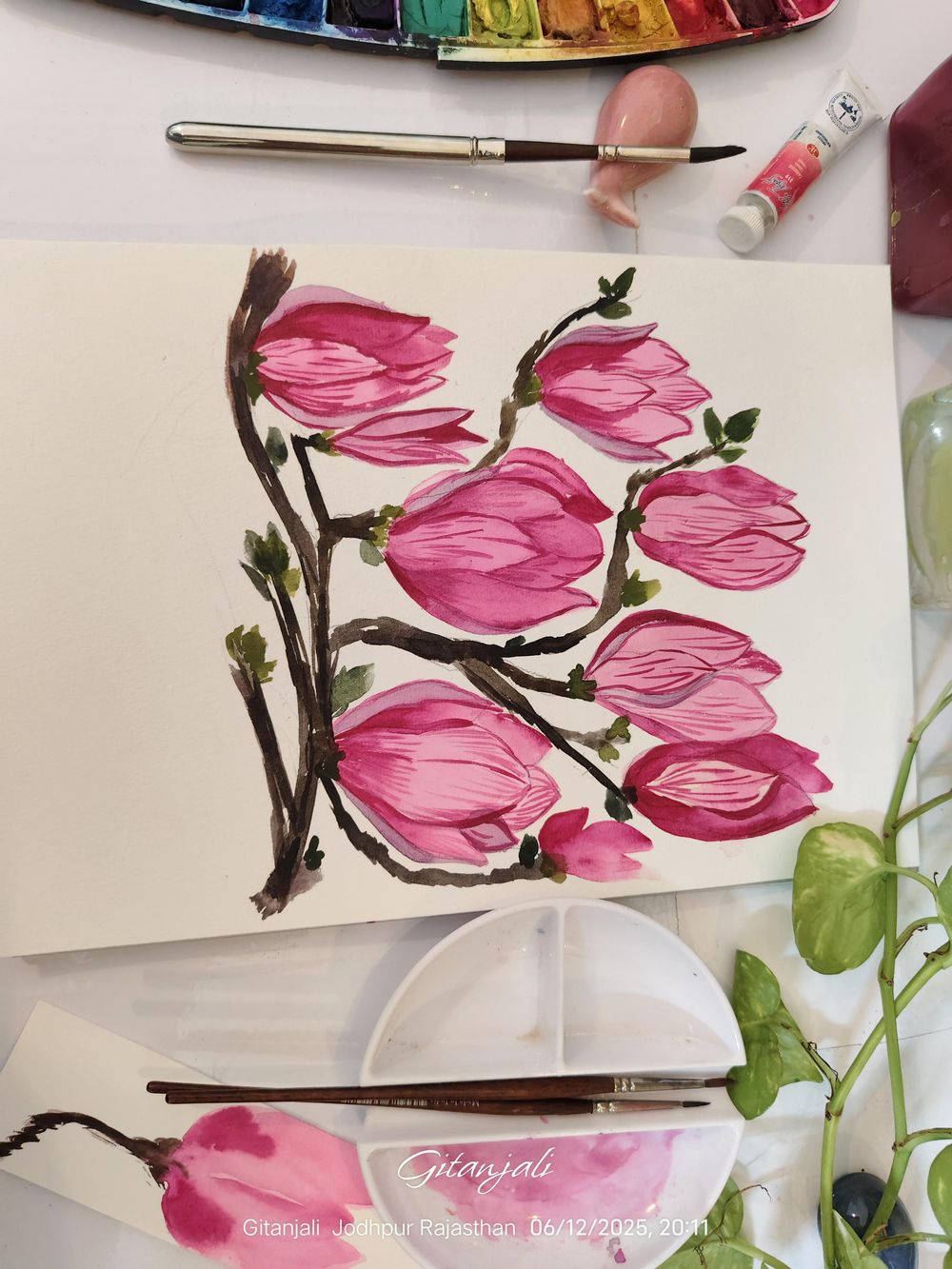 Magnolia a Beauty - image 4 - student project