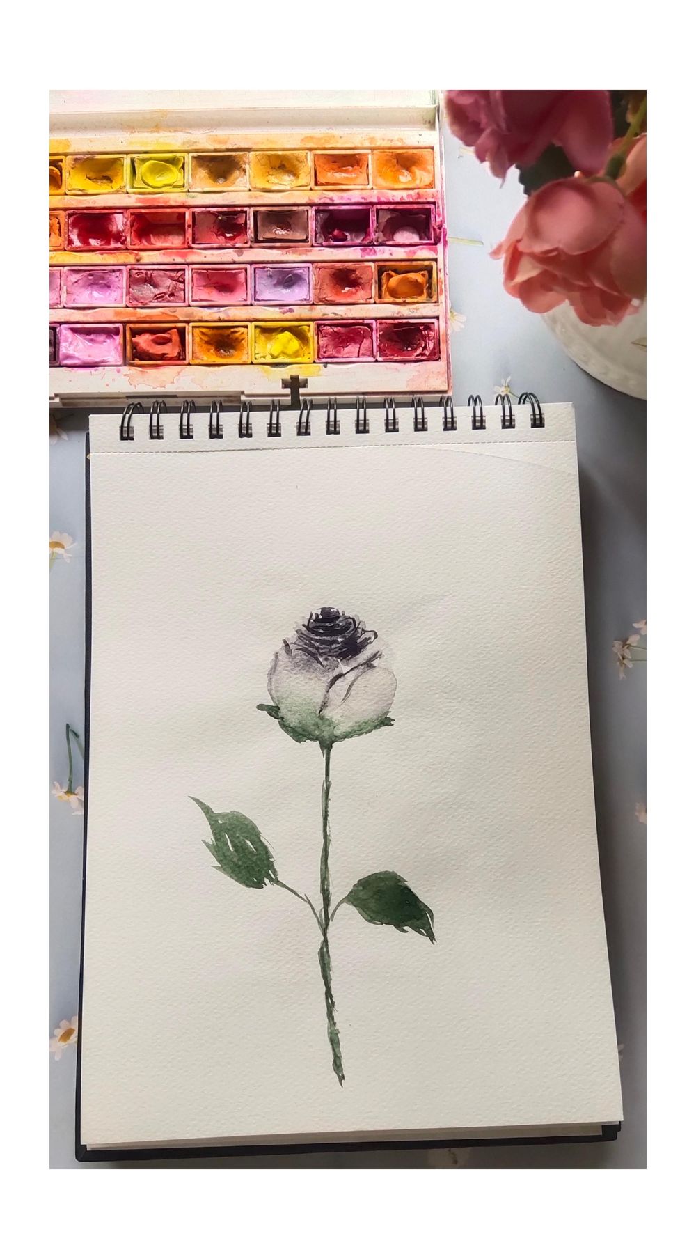 Beautiful roses - image 5 - student project