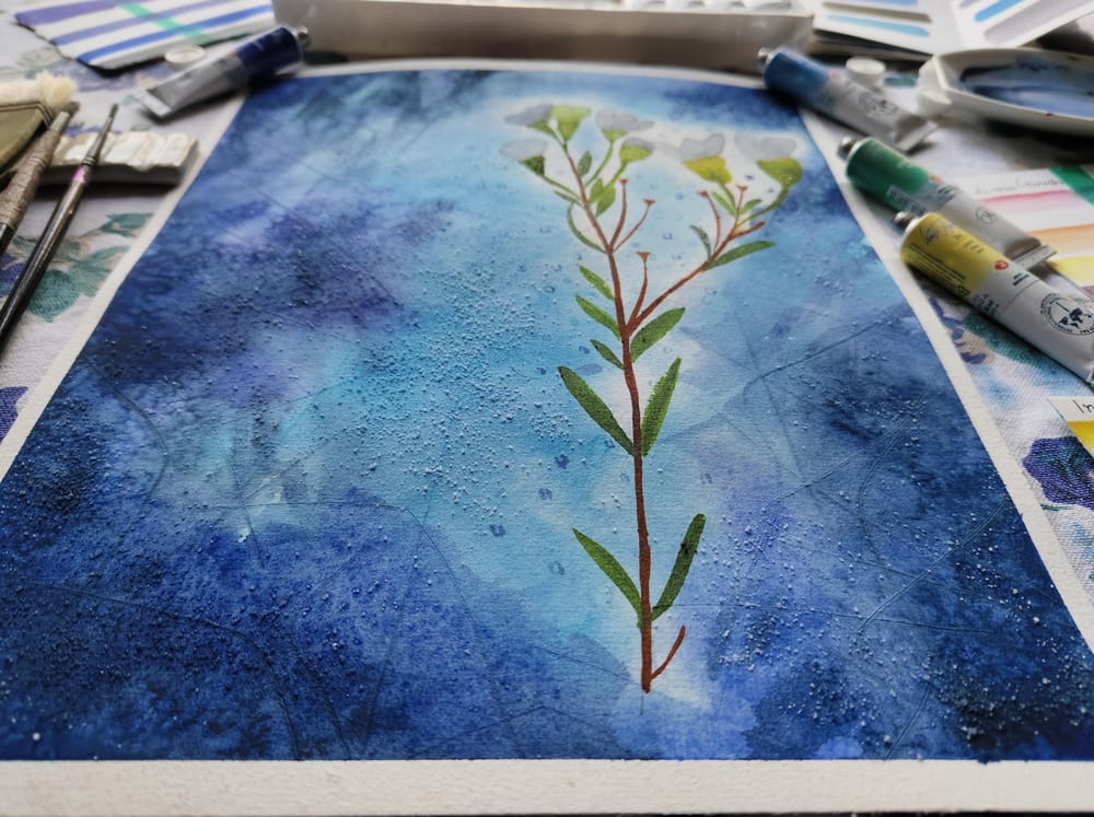 Transparent watercolors - image 3 - student project