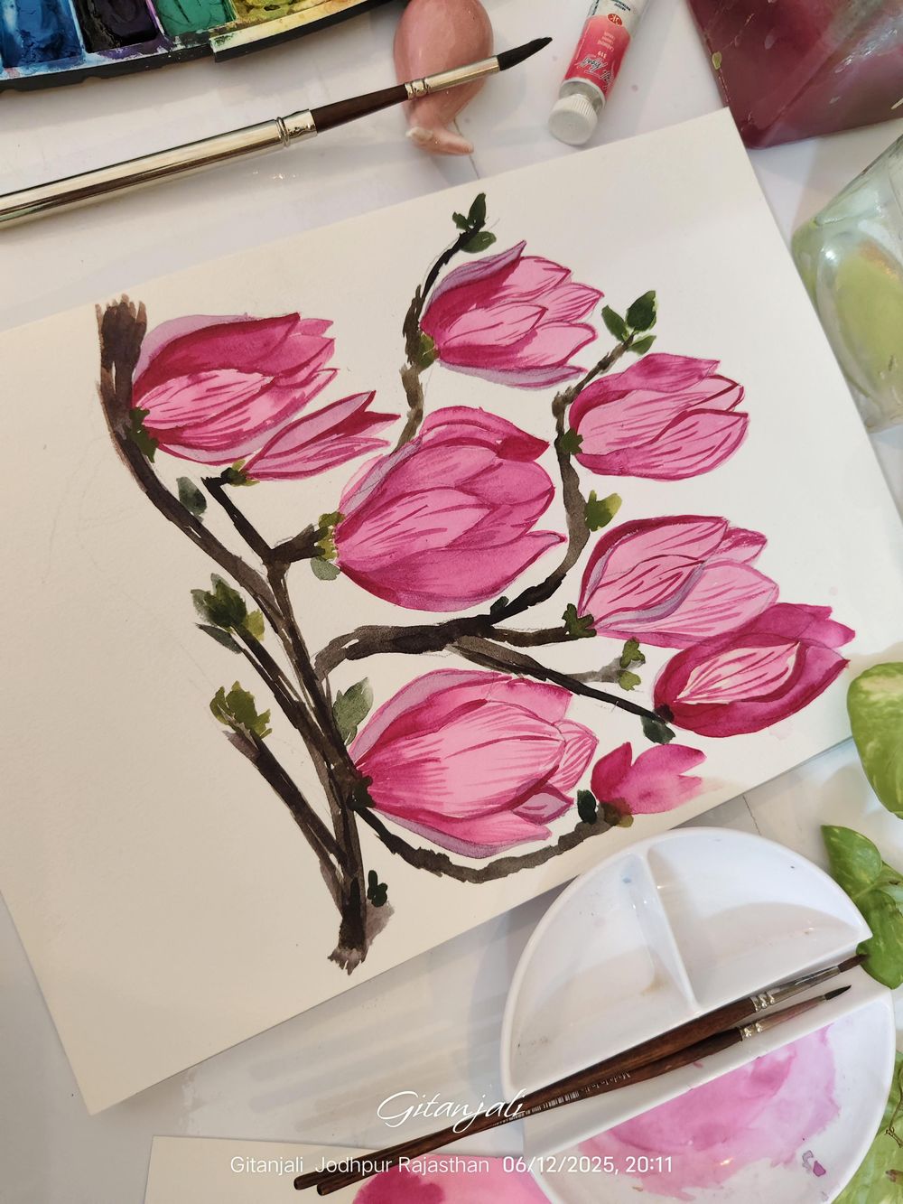 Magnolia a Beauty - image 3 - student project