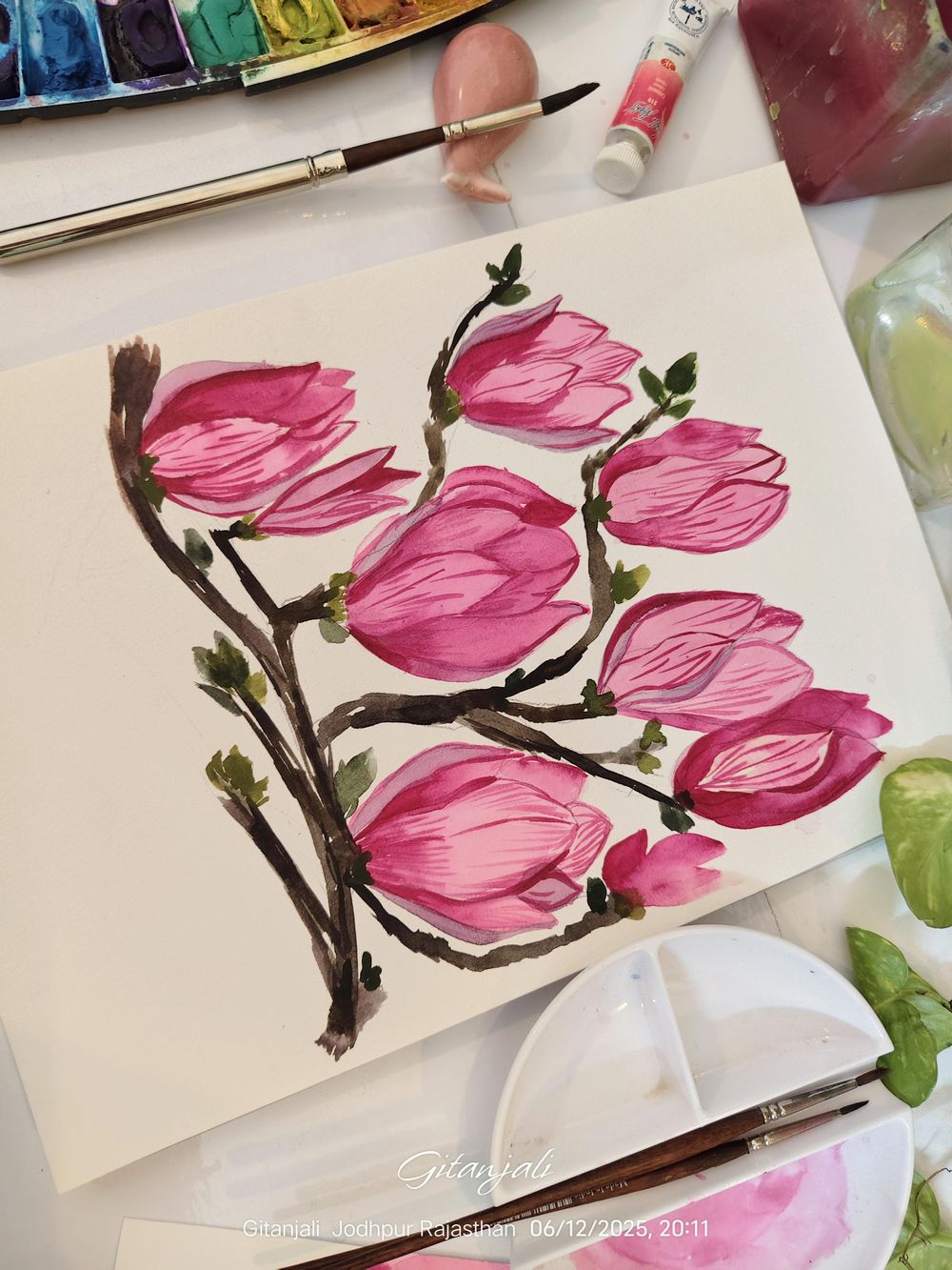 Magnolia a Beauty - image 1 - student project