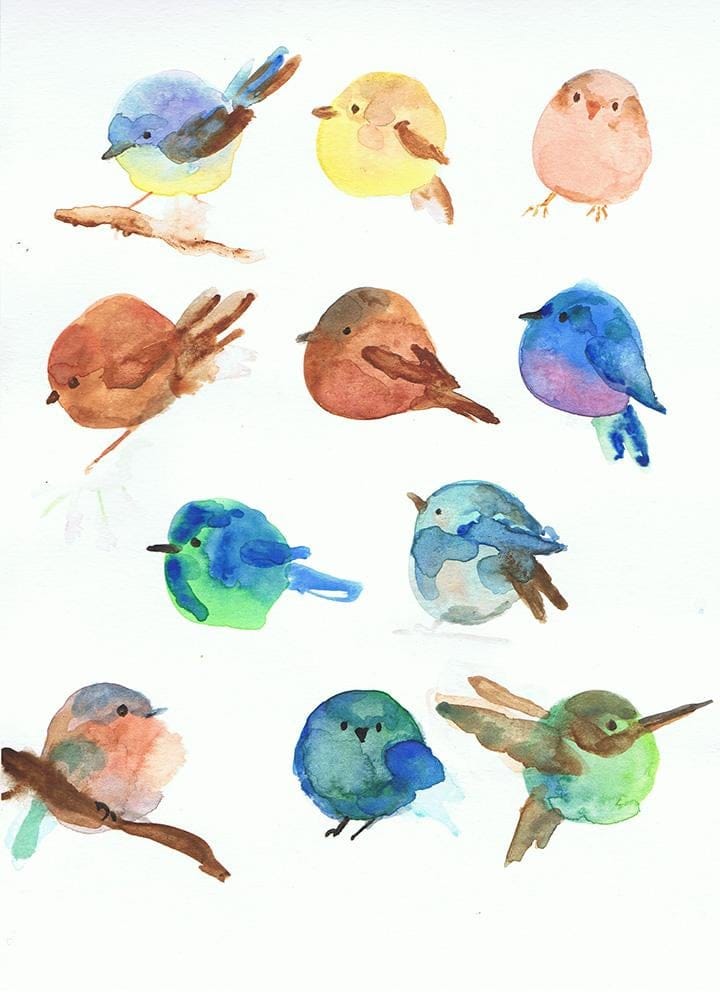 chubby little circle birds - image 1 - student project