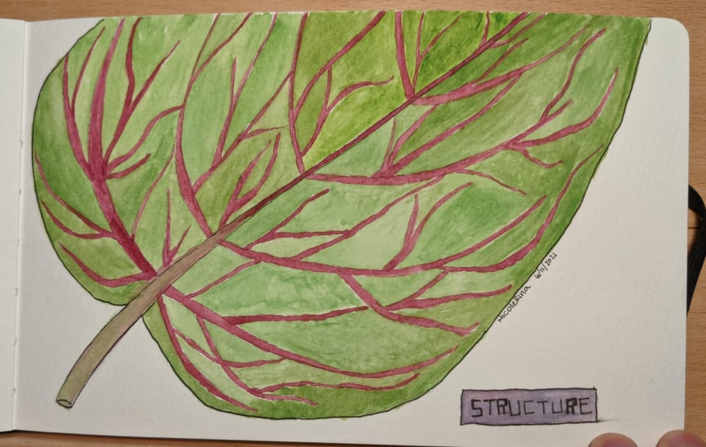 My Daily Practice - Being Fearless - image 4 - student project