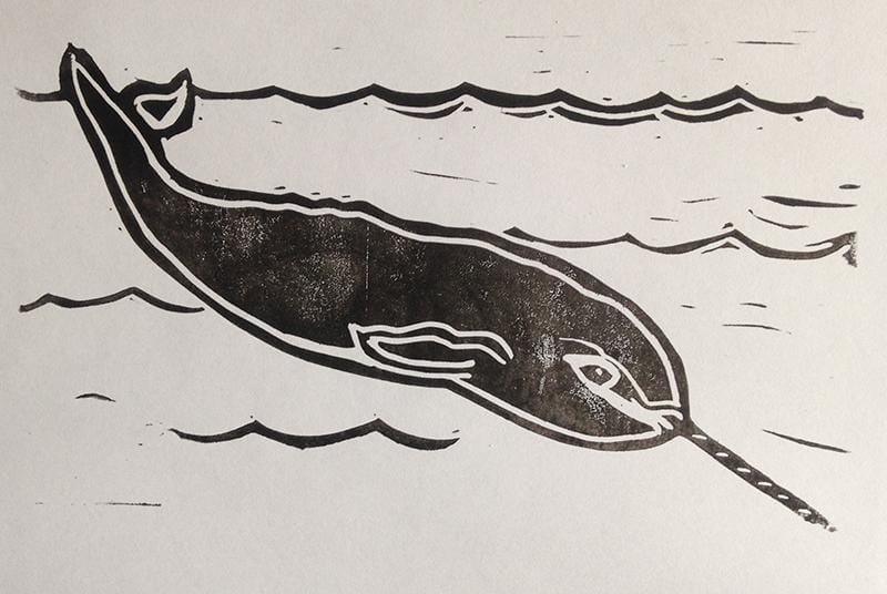 Narwhal Prints - image 3 - student project