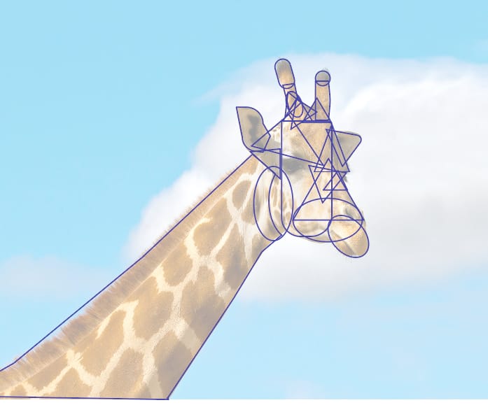 Shape Builder Exercise - Giraffe - image 1 - student project
