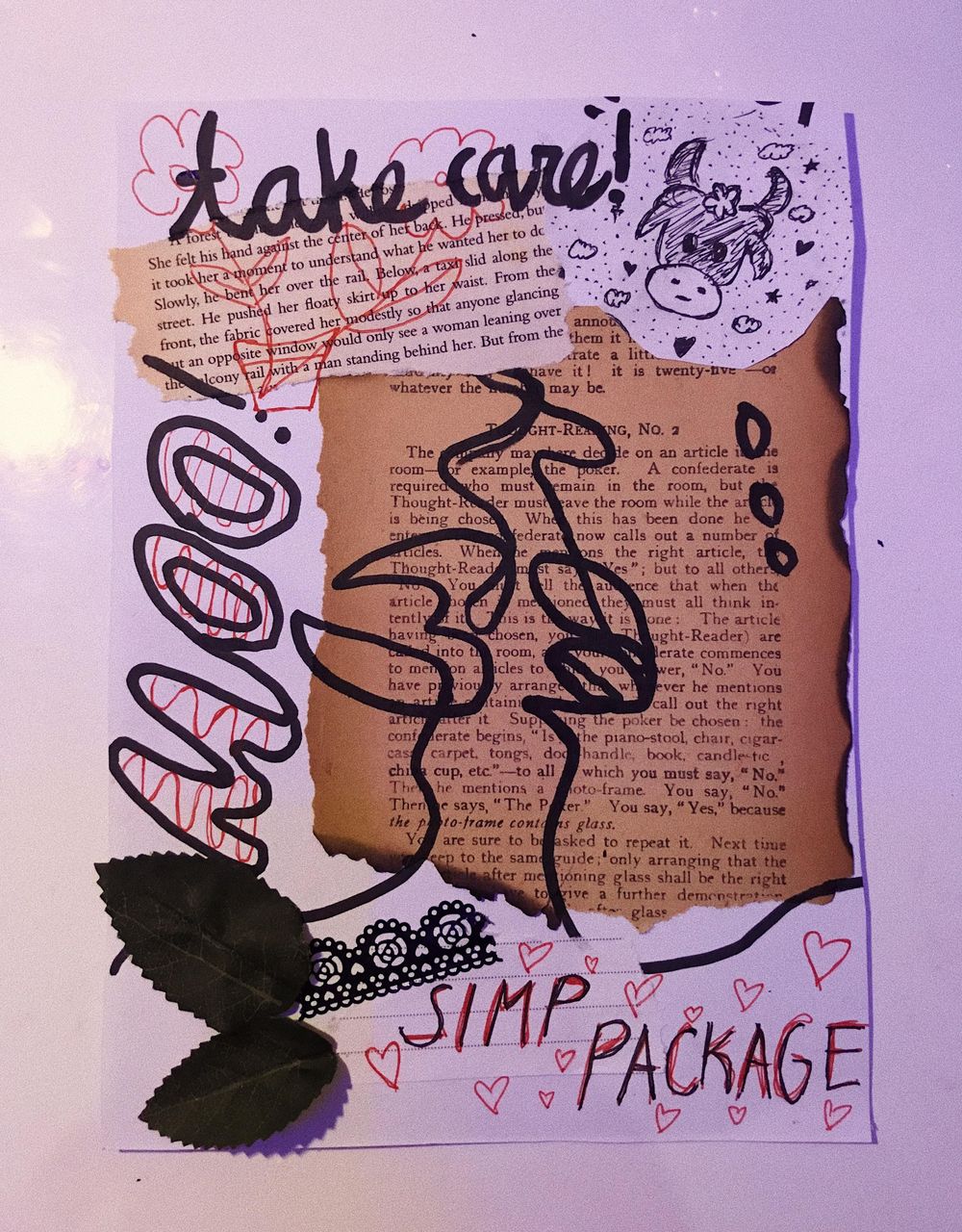 Simp Package <3 - image 3 - student project