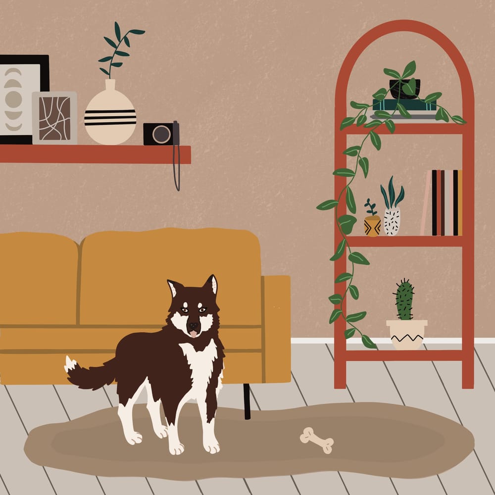 Dakota at Home Skillshare Student Project