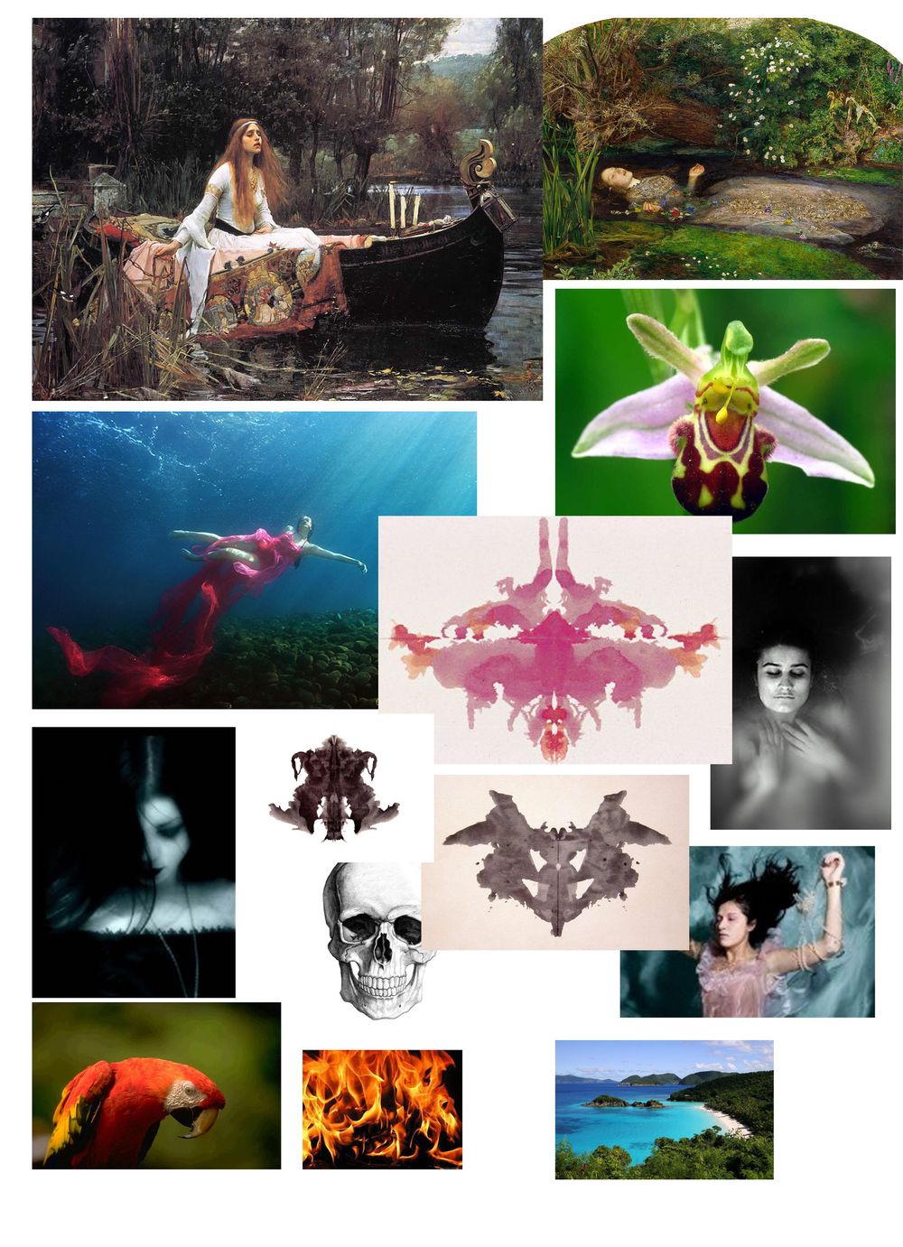 Wide Sargasso Sea - image 6 - student project