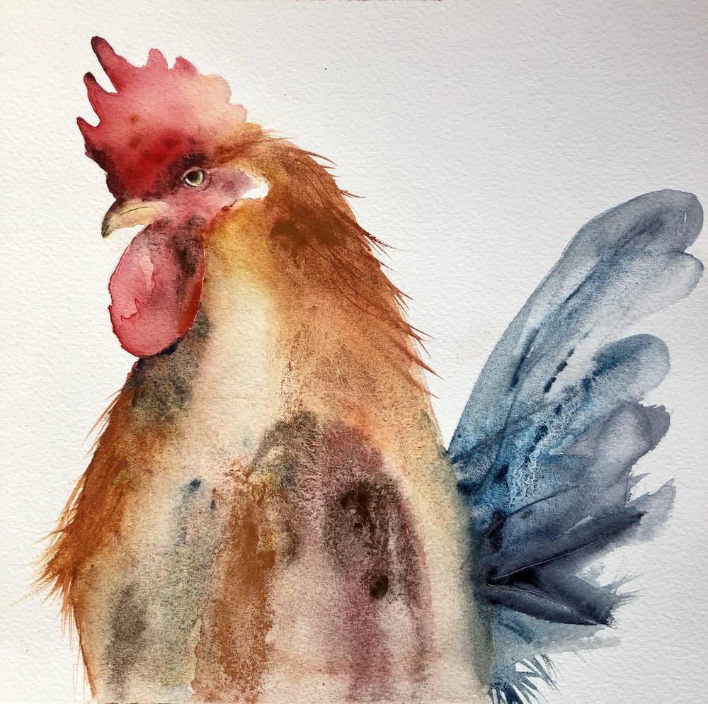 Mr. Cockerel - image 1 - student project