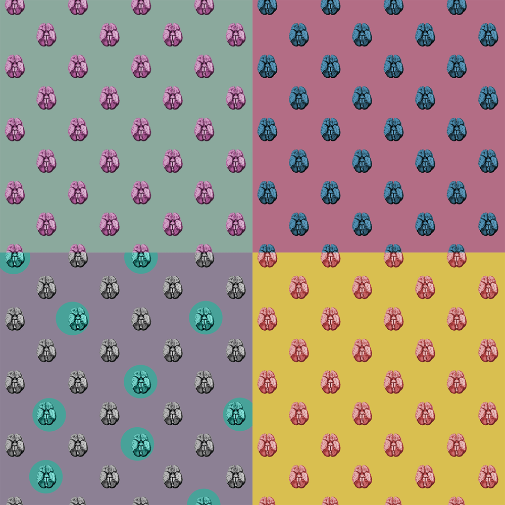 Brain Walnuts! - image 2 - student project