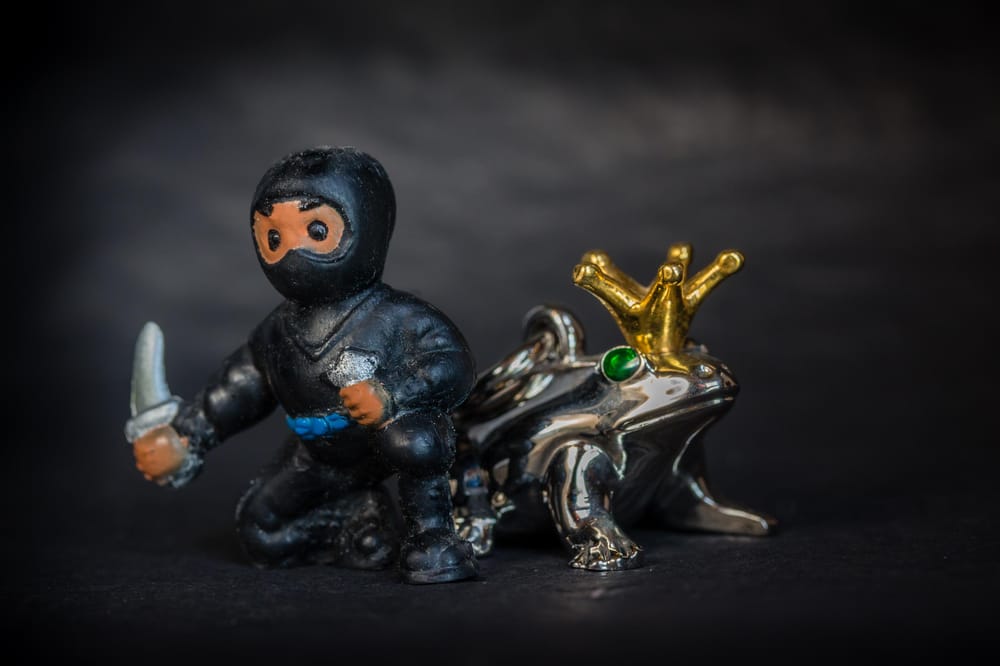 MicroNinja's big adventures - image 1 - student project