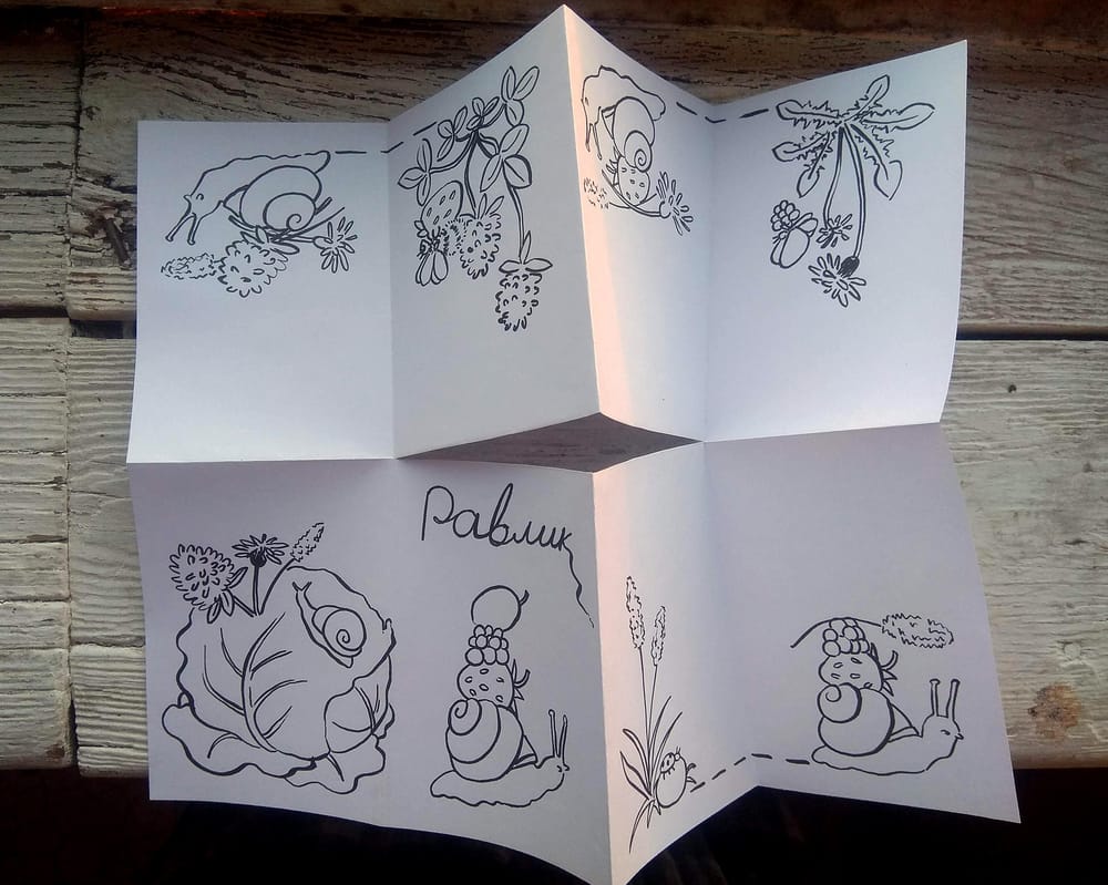Snail zine - image 1 - student project