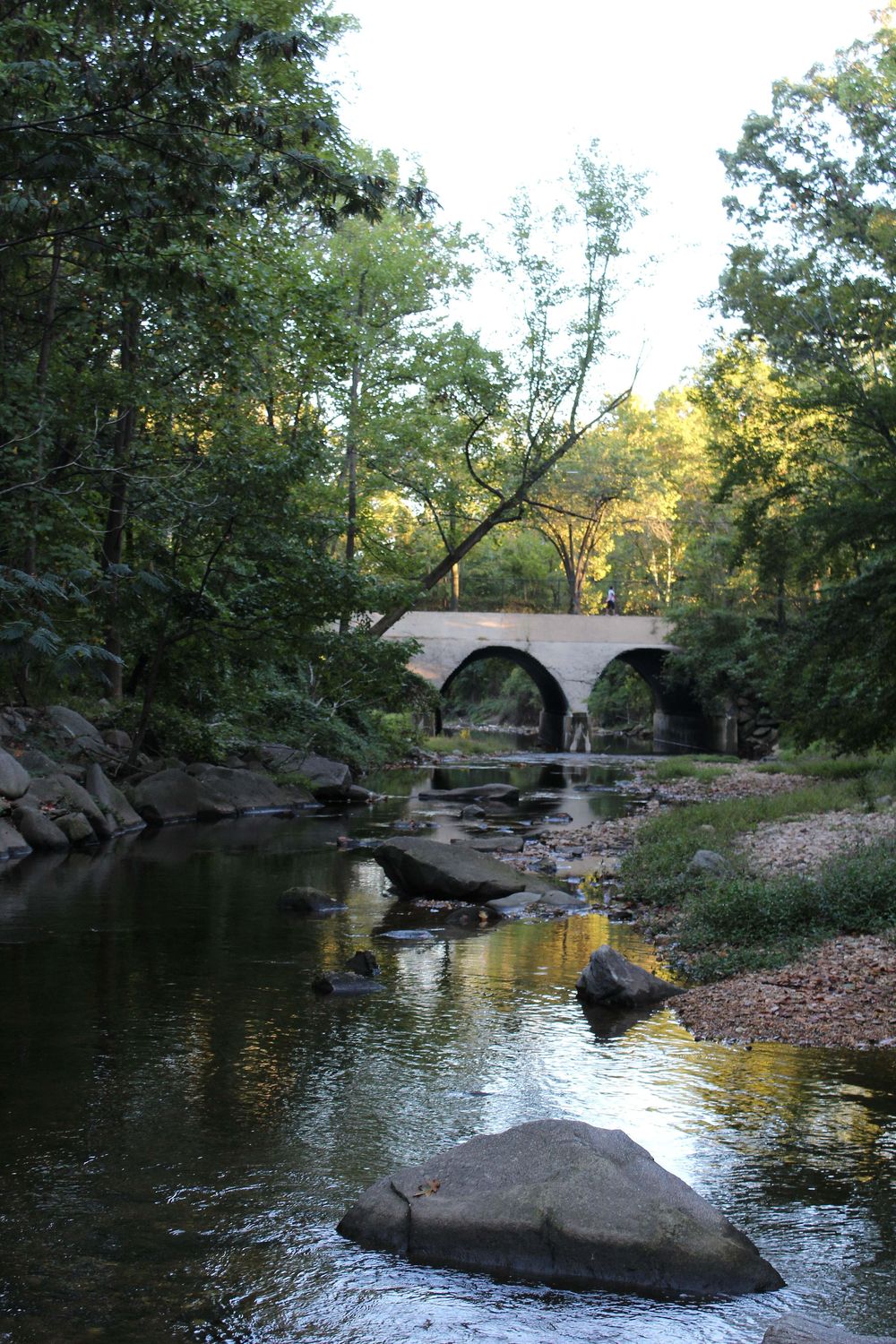 Golden Hour Virginia - image 1 - student project