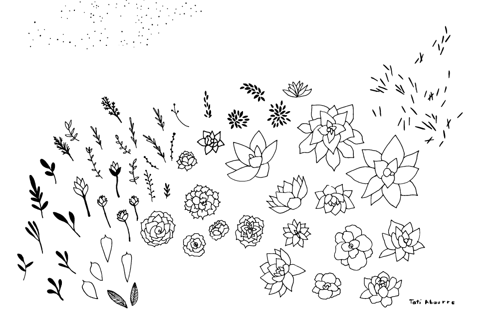 The Succulents (& new Orchid pattern) - image 1 - student project