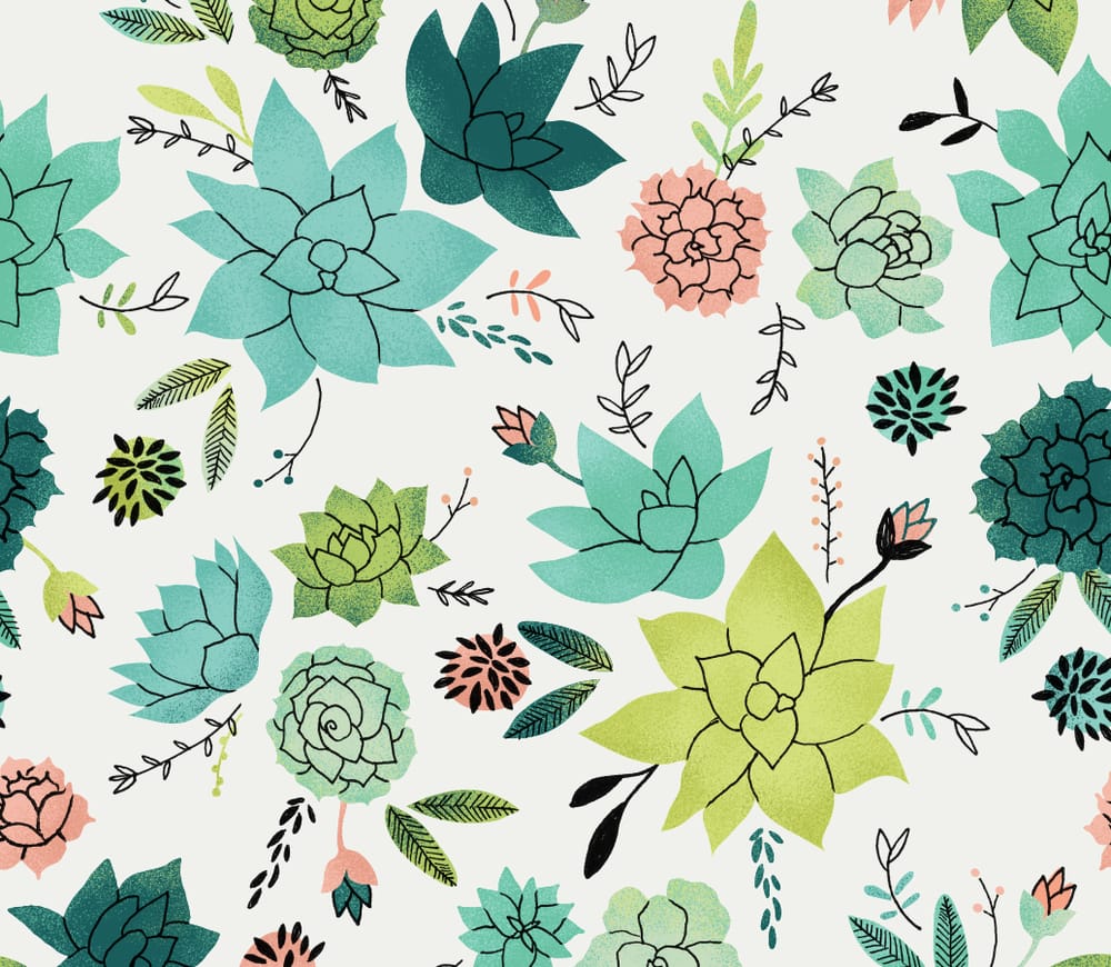 The Succulents (& new Orchid pattern) - image 6 - student project