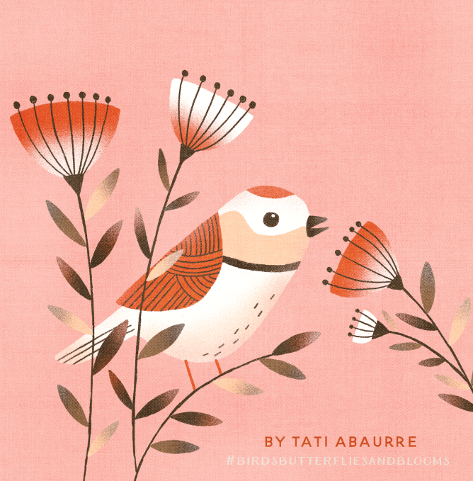 Procreate birdie - image 1 - student project