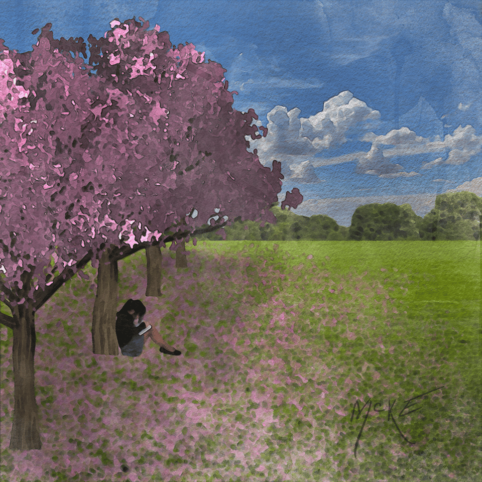 Sakura Cherry Trees - image 1 - student project