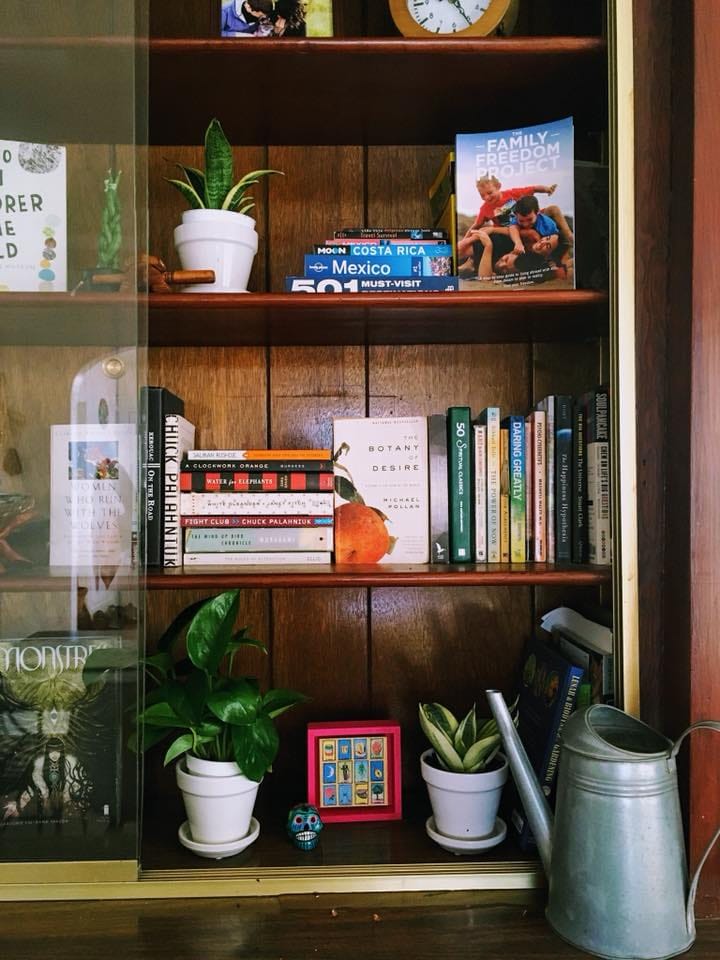 My mounted Staghorn Fern, snake plants, pothos, philodendron, and others. - image 3 - student project