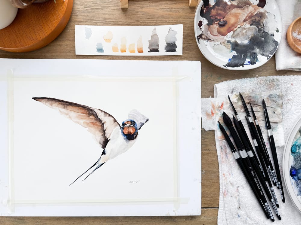 Watercolor Barn Swallow - image 2 - student project