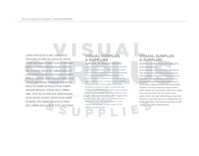 Visual Surplus & Supplies - image 28 - student project
