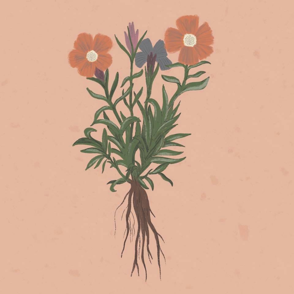 Wildflowers - image 1 - student project