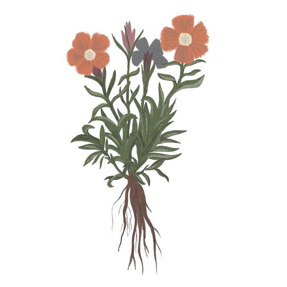 Wildflowers - image 2 - student project