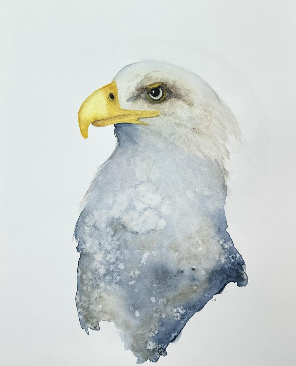 Eagle - image 1 - student project