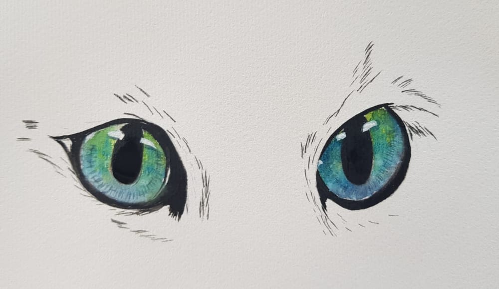Cat Eyes! - image 1 - student project