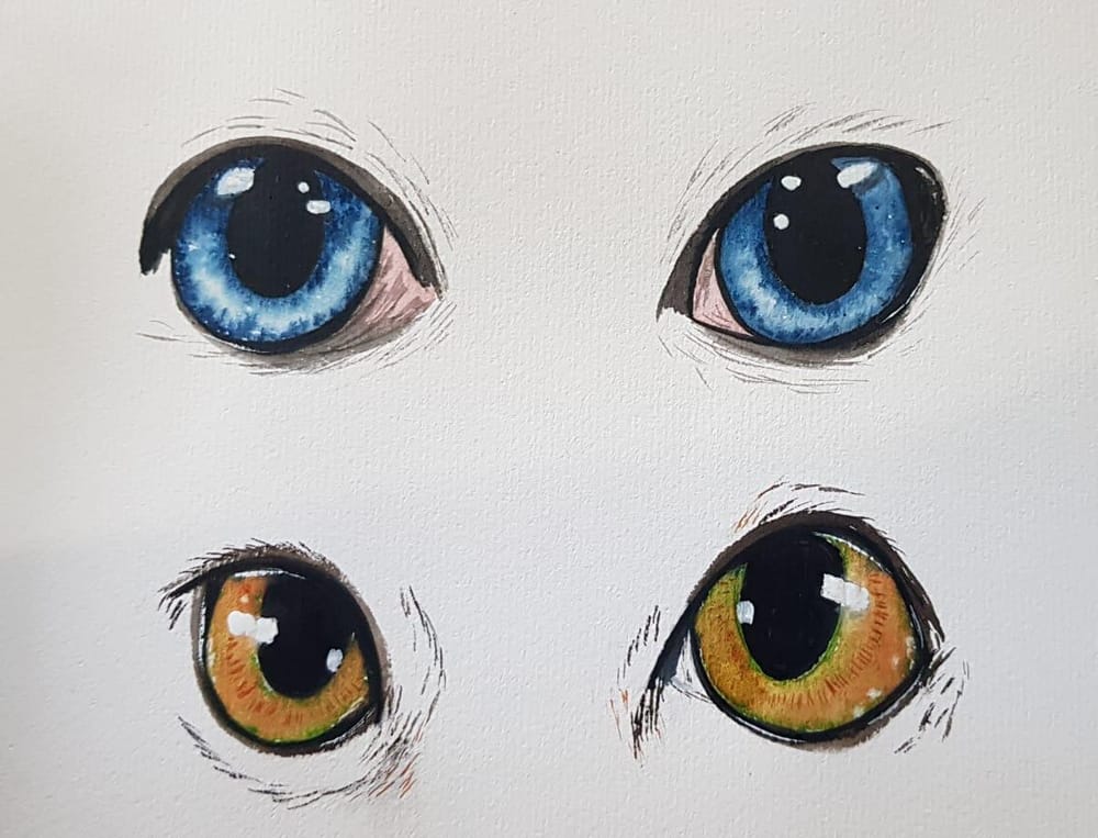 Cat Eyes! - image 2 - student project