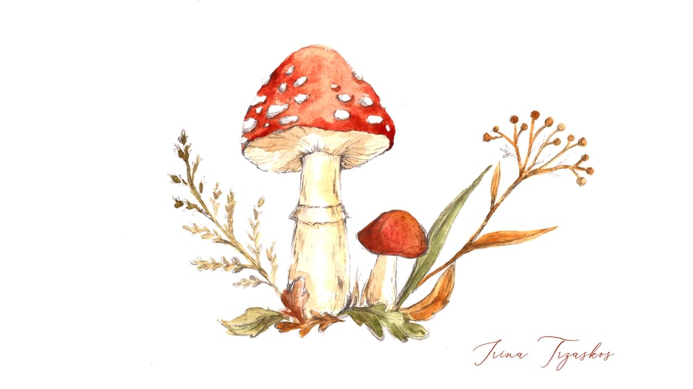 Sample Project Woodland Mushrooms - image 1 - student project