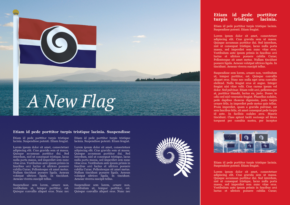 A New Flag and Teenage Diary - image 1 - student project