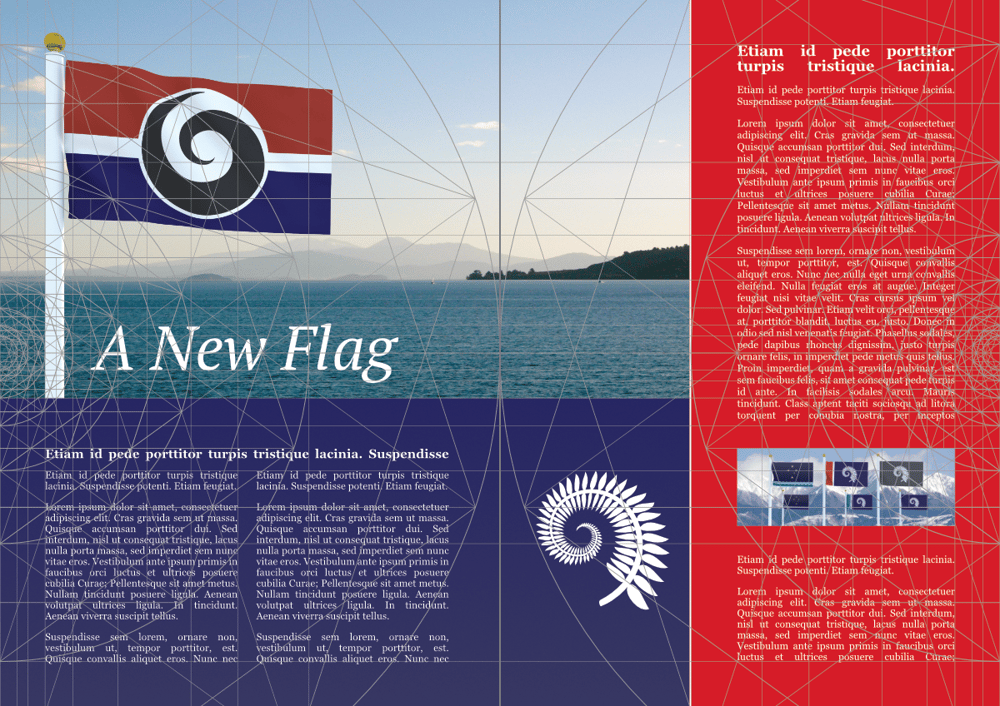 A New Flag and Teenage Diary - image 2 - student project