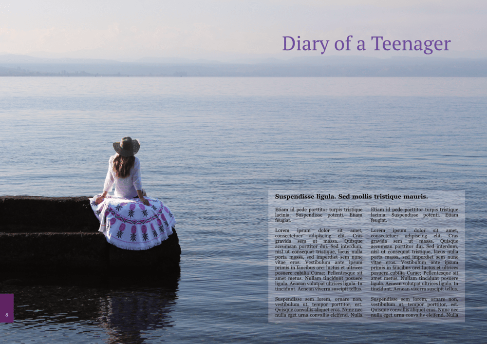 A New Flag and Teenage Diary - image 3 - student project