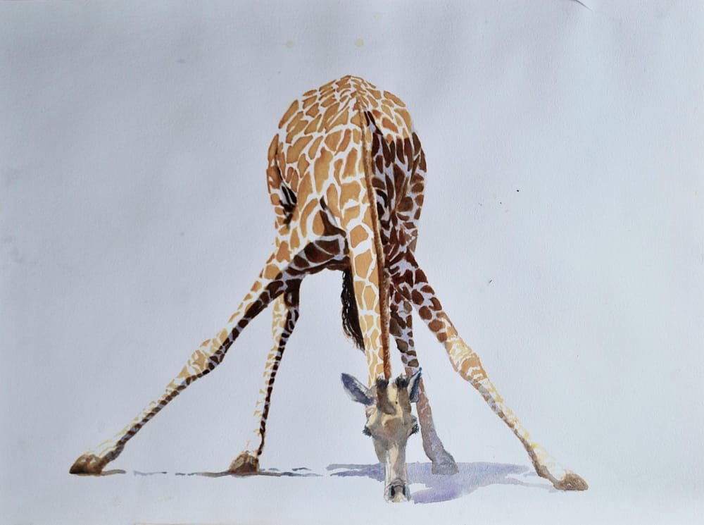 Watercolour Artist - image 5 - student project