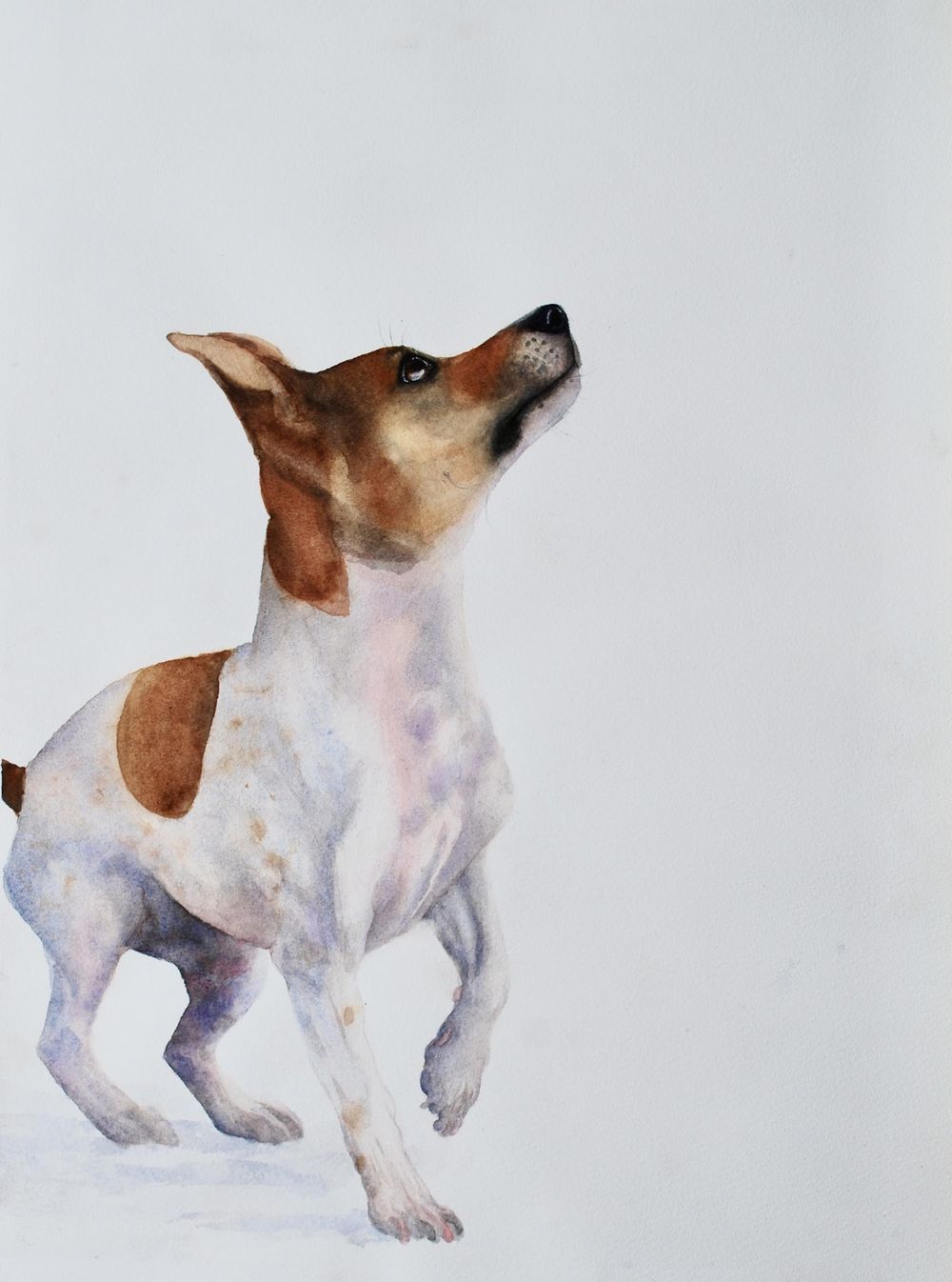 Watercolour Artist - image 3 - student project