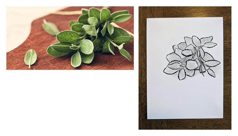 The Basics: How to Draw Anything - image 5 - student project