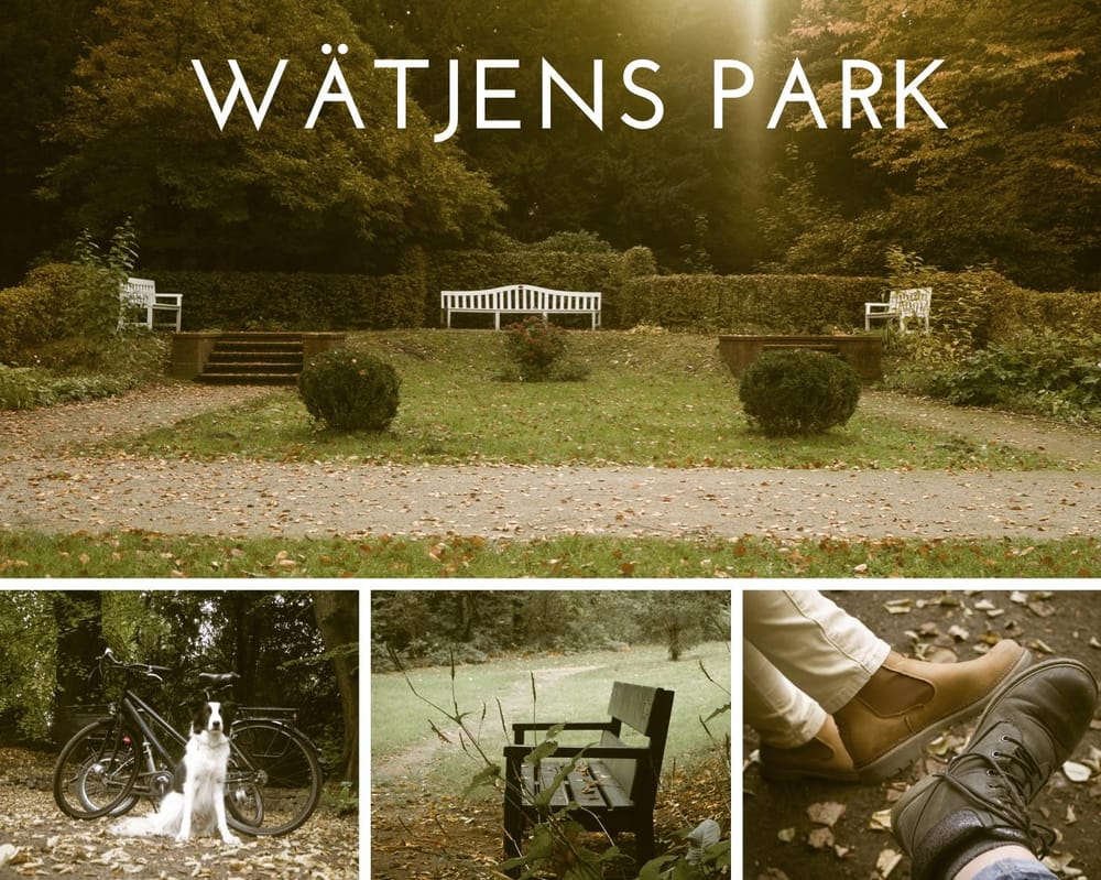 A Day in Wätjens Park - image 1 - student project