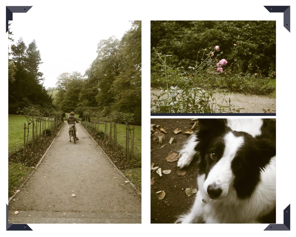A Day in Wätjens Park - image 2 - student project
